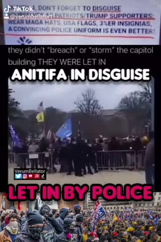 Antifa disguised as patriots