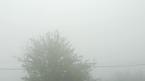 Foggy Area in Pakistan Peshawar.