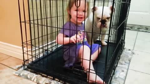 Cute Dogs and Babies are Best Friends - Dogs Babysitting Video