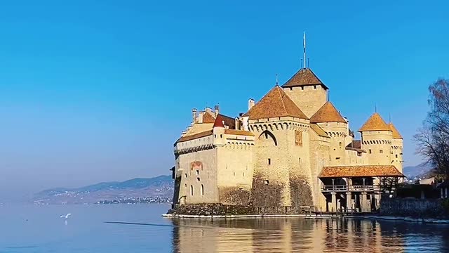 Great view by the lake
