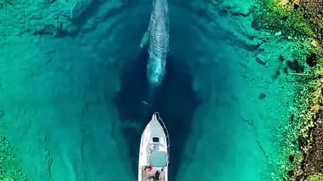 great video