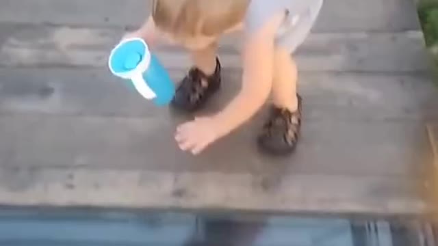 Toddler Attempts to Cross onto Glass Bridge