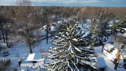 Pinegrove Ave. Winter flight after snow