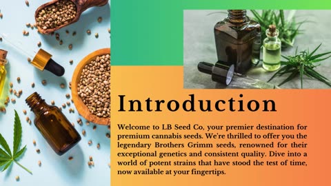 Find the Best Humboldt County Seeds - LB Seed Co