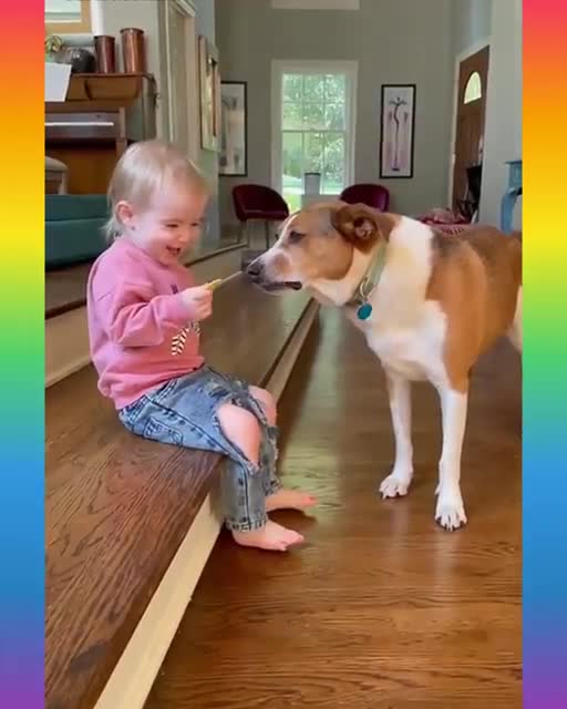 Funny and Cute Dog Video Compilation,🐕🐕_16 _#short