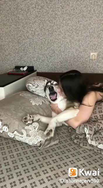 A very sweet dog likes a cuddle!_Hilarious Dog Memes - 56