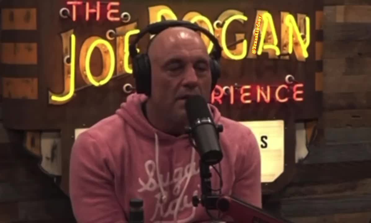 Rogan BLASTS Klaus Schwab With A Hilarious Impression
