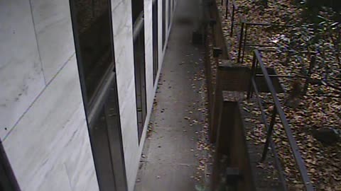 1457HSOB01GroundSoutheast_2021-01-06_09h26min31s973ms.mp4