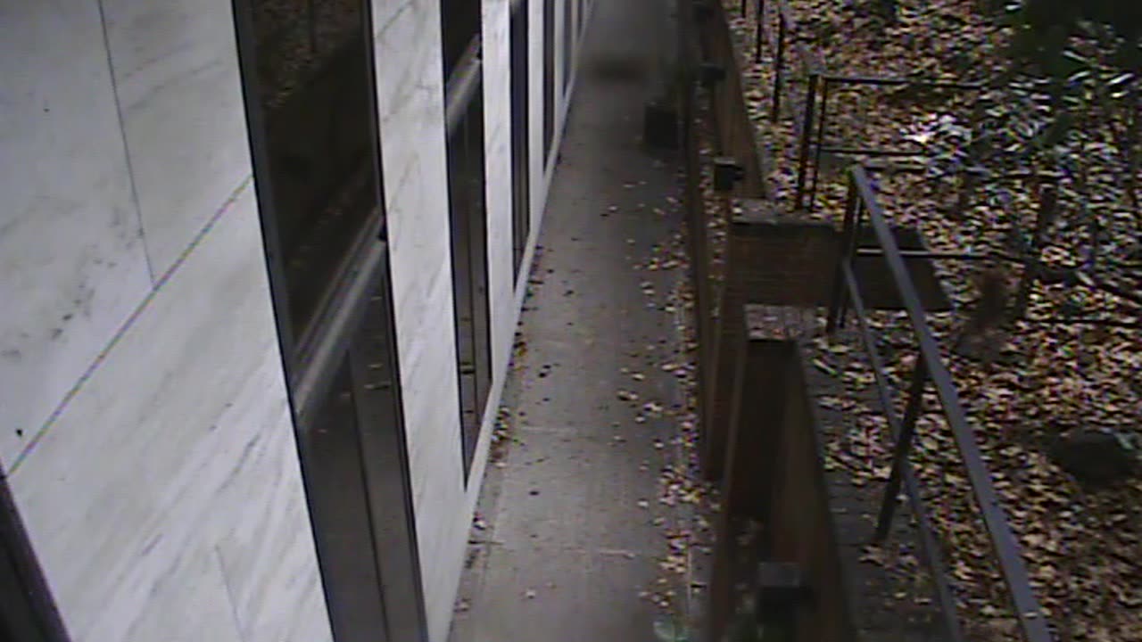 1457HSOB01GroundSoutheast_2021-01-06_09h26min31s973ms.mp4