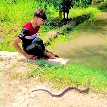 Baag kar Jaan bachai