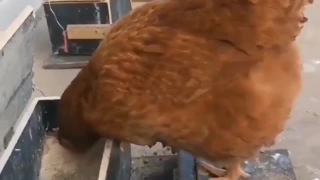 Let's make 2022 positive move