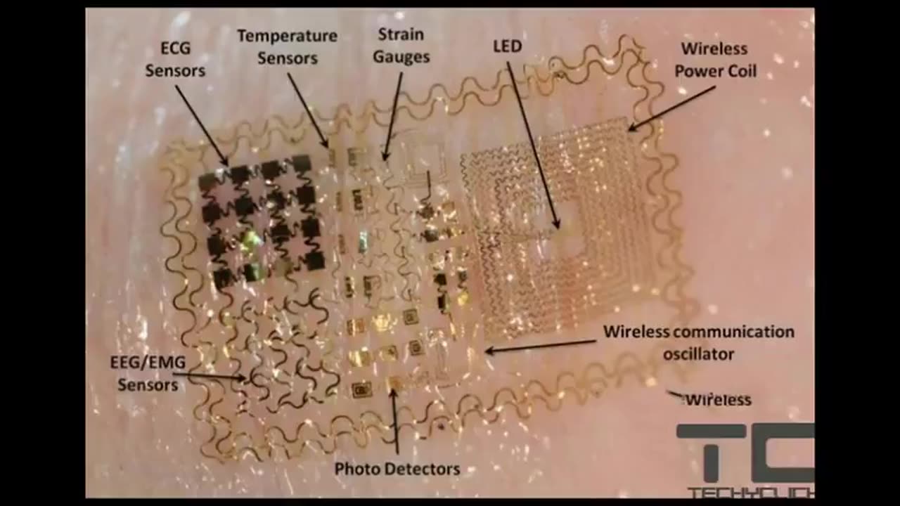 THE EDIBLE MICROCHIP (REMEMBER THIS CLIP? SHARING FOR INTEREST)