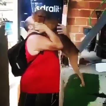 Dog- “What up, dawg”