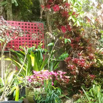 15.9.2024 Things that make us go hmmm.... (2)