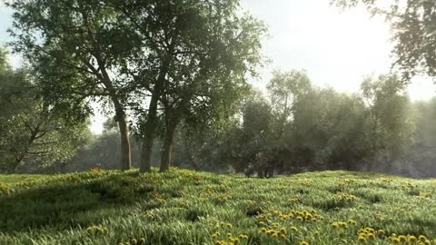 3D scenes of nature