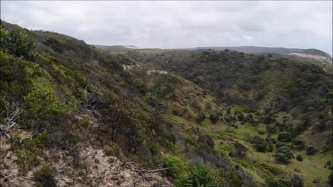 Fraser Island 2019 - Catching turtles - Great Sandy Cape - Diving to the bottom of Lake Mackenzie