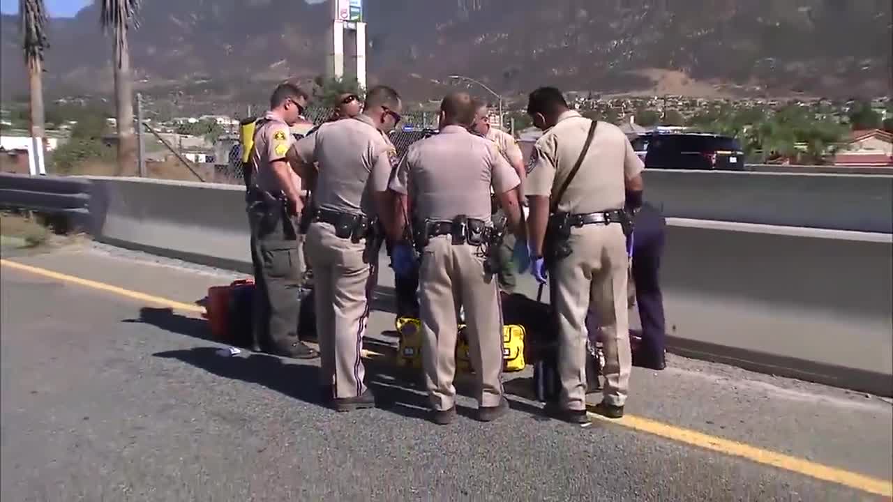 LAPD Officer Tackles A Pursuit Suspect Before Jumping From Freeway Overpass