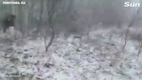 Fatal multi-vehicle crash pile-up & fires on snowy Pennsylvania interstate