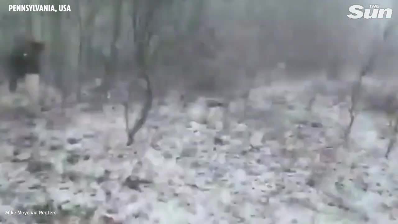 Fatal multi-vehicle crash pile-up & fires on snowy Pennsylvania interstate