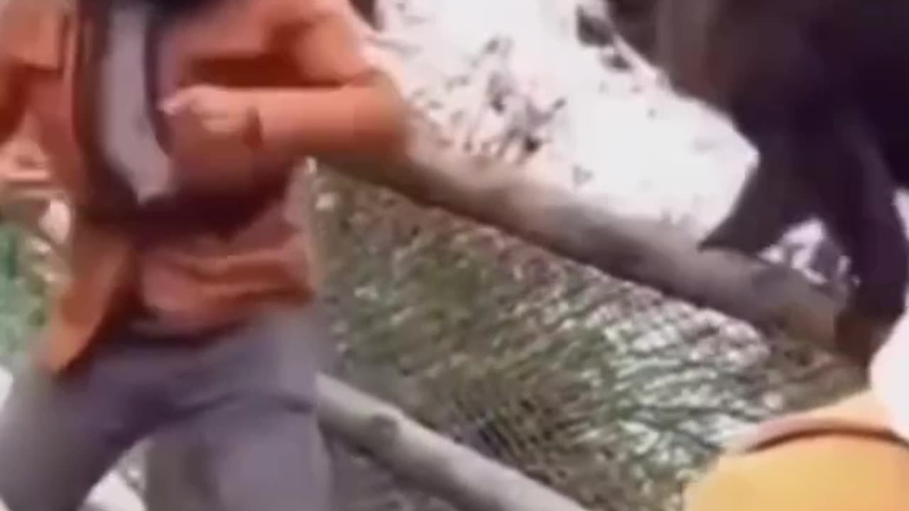 Nice action