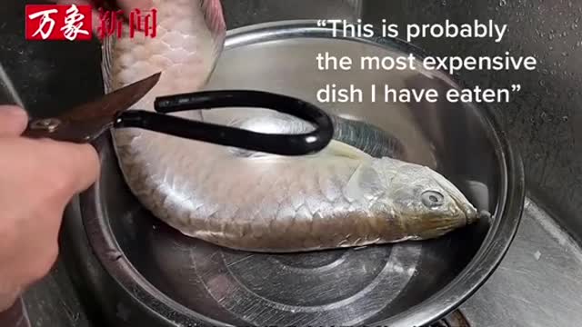 Man's pet arowana dies,he steams & eats it