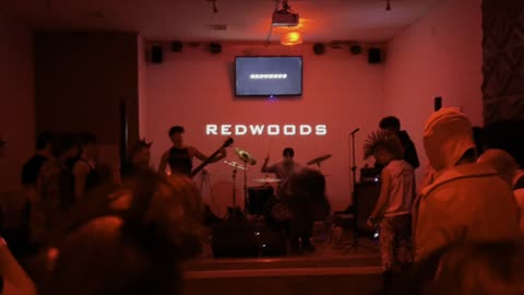 Redwoods at the Seven Crest, Teaneck, NJ - 3-22-24