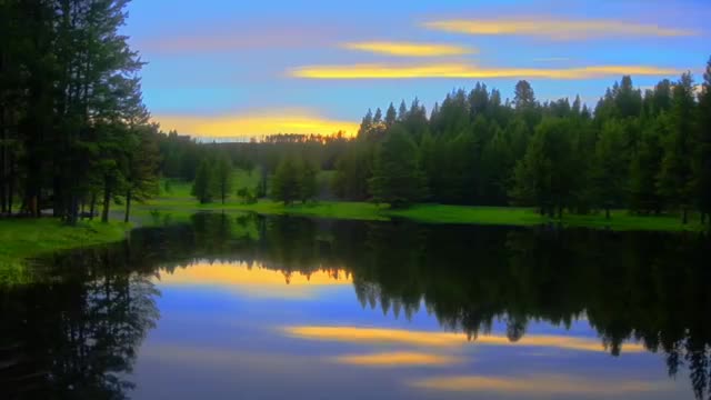 Q - We Are The Plan by Joe M