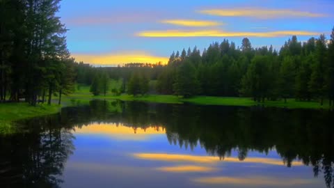 Q - We Are The Plan by Joe M