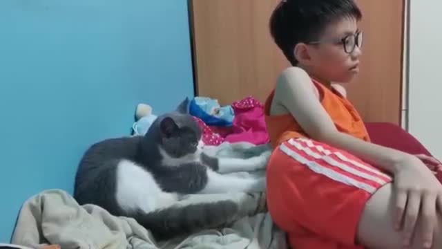 A cat that massages
