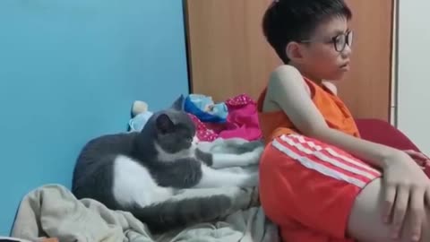 A cat that massages