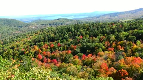 Fall Foliage