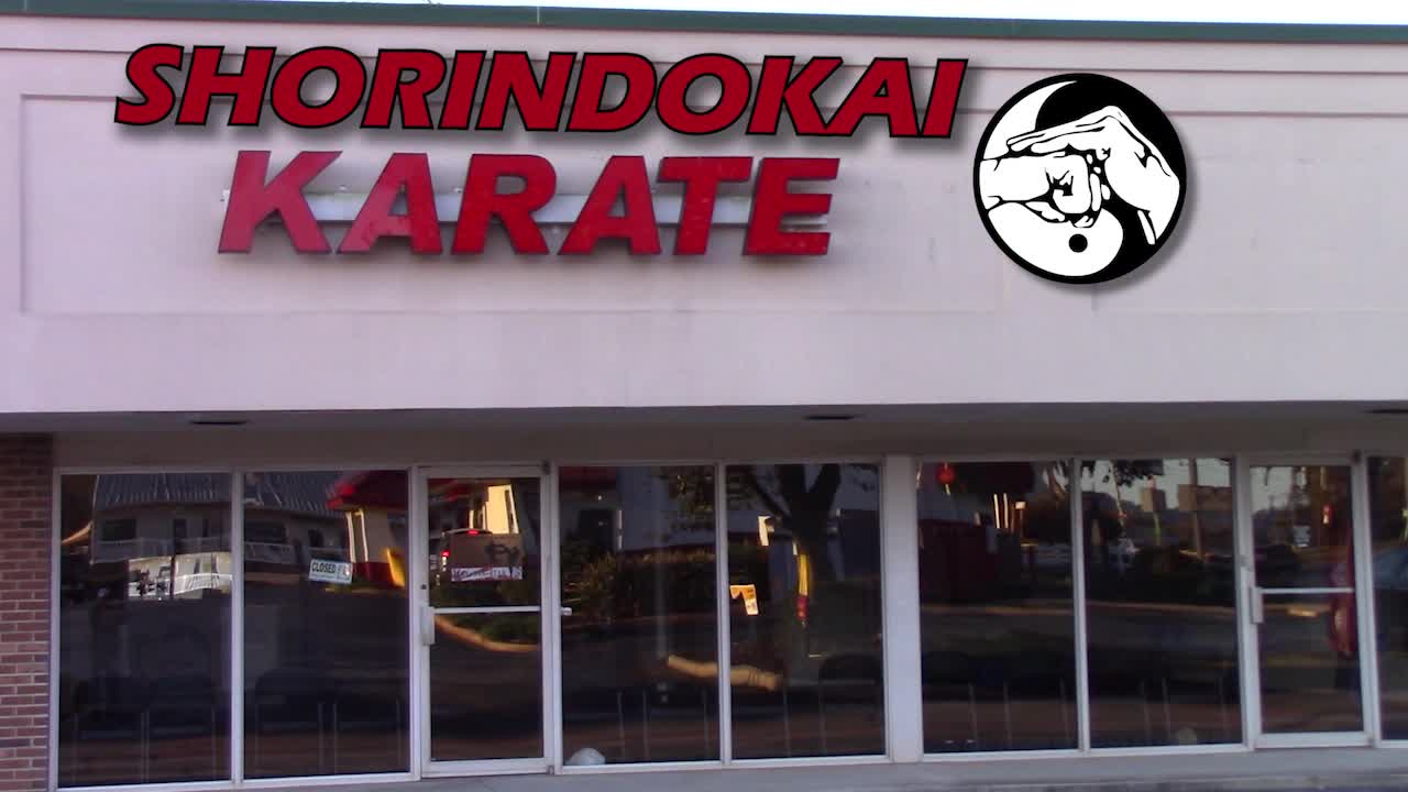 Shorindokai Karate / Self Defense
