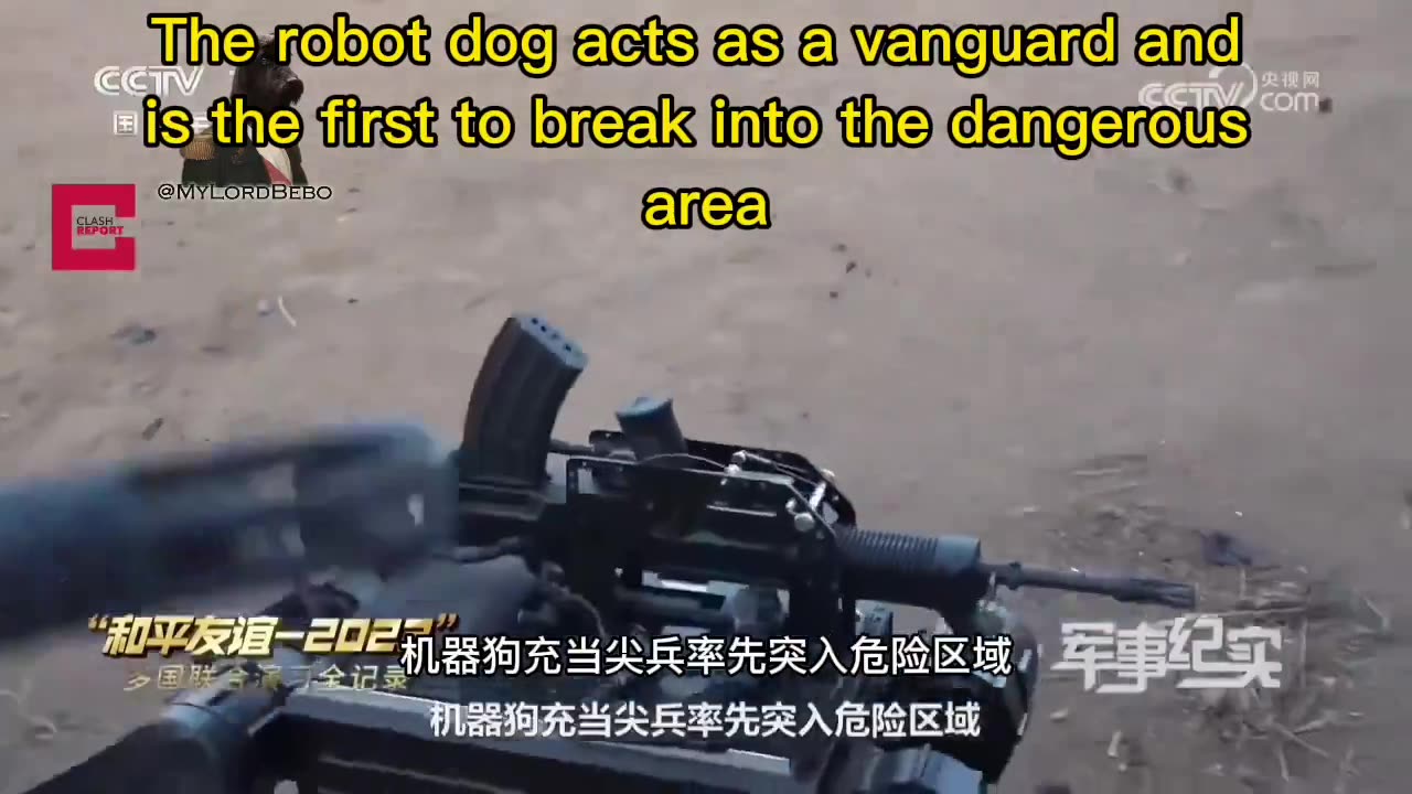 Chinese armed robot dog to break into dangerous areas