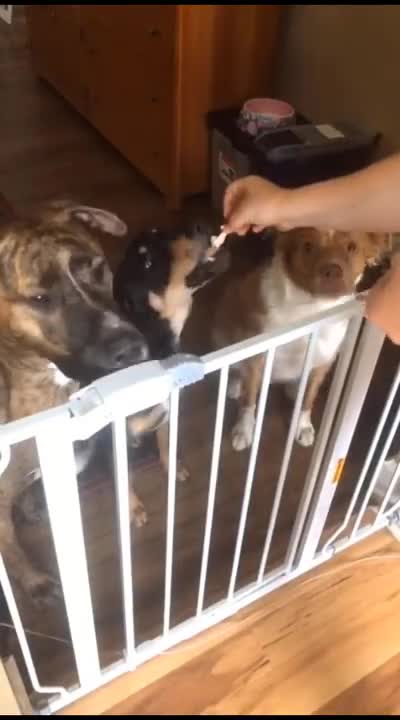 LOW CRAB KETO DIET ►►#80