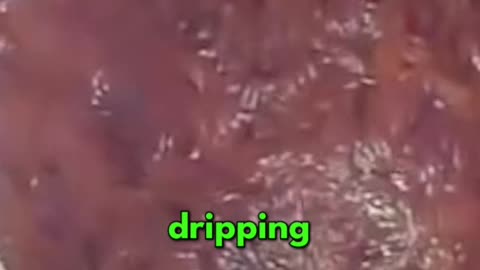 terrifying sewer mass