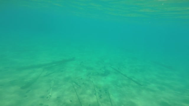 Lake Tahoe Underwater Extra Footage!