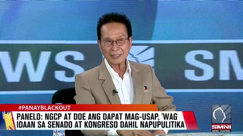 Panelo: NGCP at DOE ang dapat mag-usap, 'wag idaan sa Senado at Kongreso dahil napupulitika