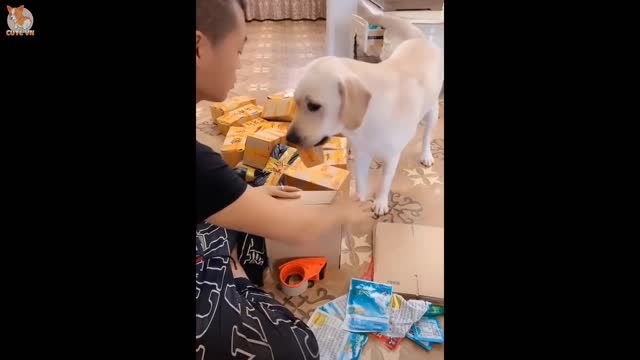 Funny and cute animals (11)