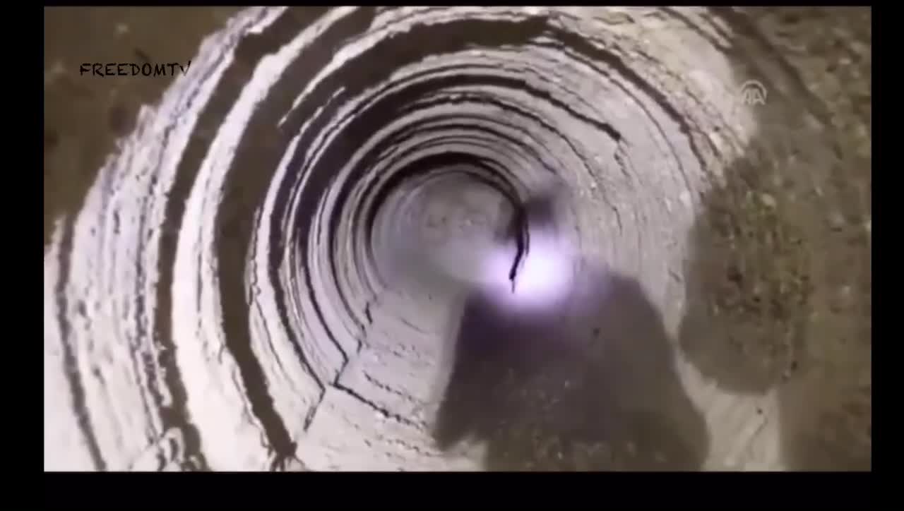 Where’s the rest at? Gotta be an army of them