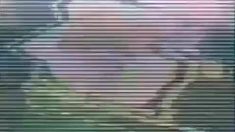1977