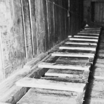 The Great Escape of 1944