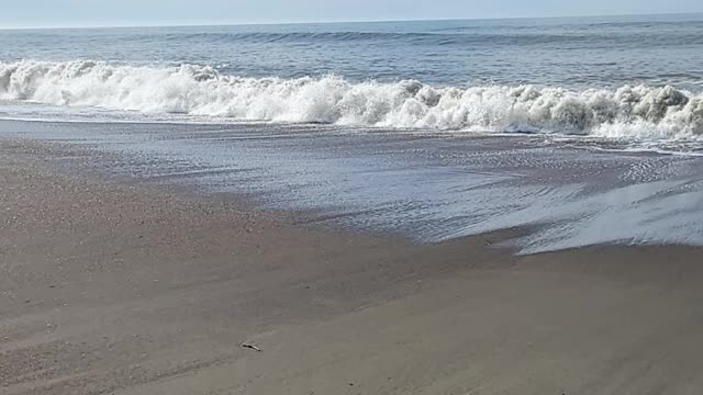 Roaring waves off coast of california