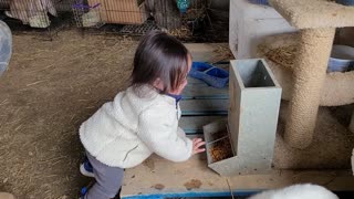 Double vision acres farm: men who stare at goats 🐐