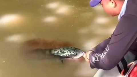 This is a beautiful and charming water-dwelling species