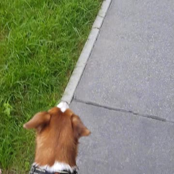 look to the end you must see