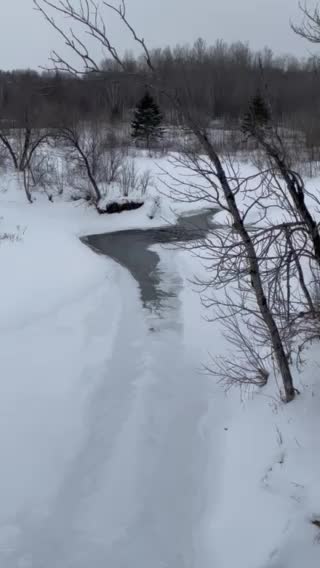 Stream nearly frozen all the way