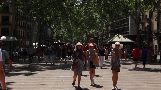 Street Full Of Tourists Morning View