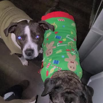 If they can only reach the counter