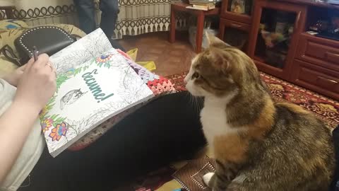 Blind cat reacts to rustling