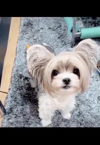 Rylee’s got a lot to say